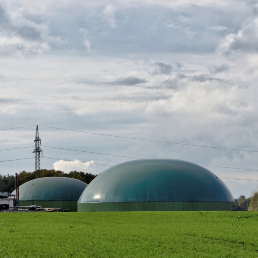 biomass electricity